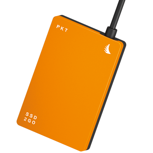SSD2GO PKT