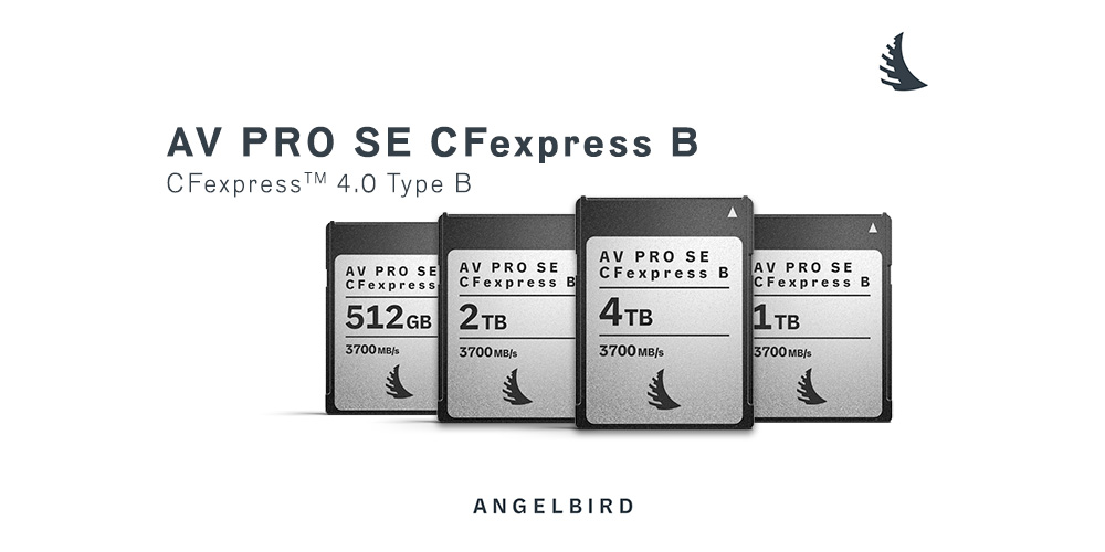 あなたが現在見ているのは Angelbird 2025年2月新製品メディアキット