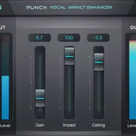 Punch
