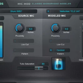 Mic Mod