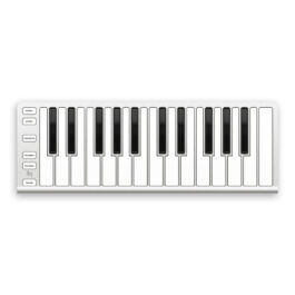 Xkey 25