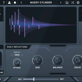 Swarm Reverb