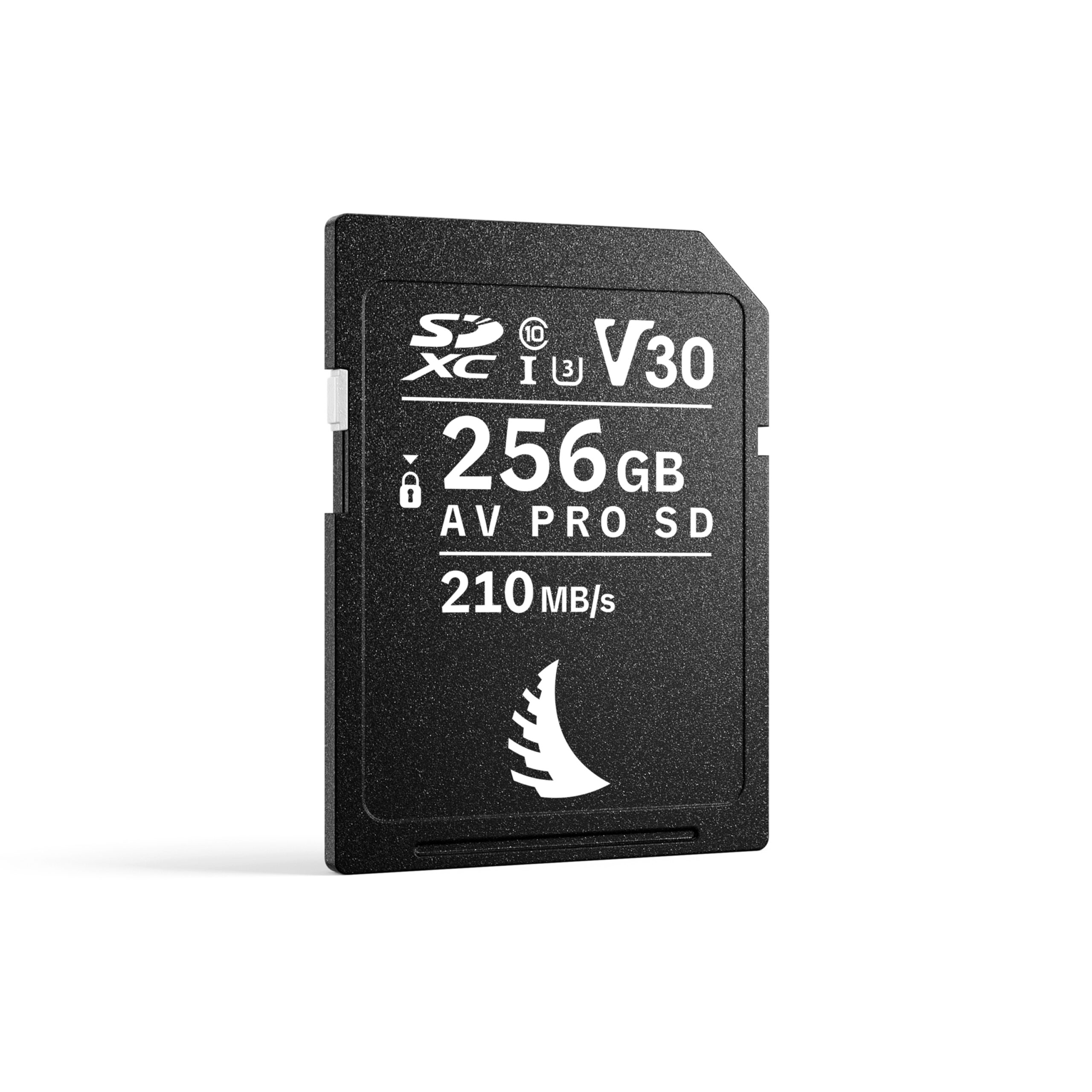 AV PRO SD V30 - 画像 (4)