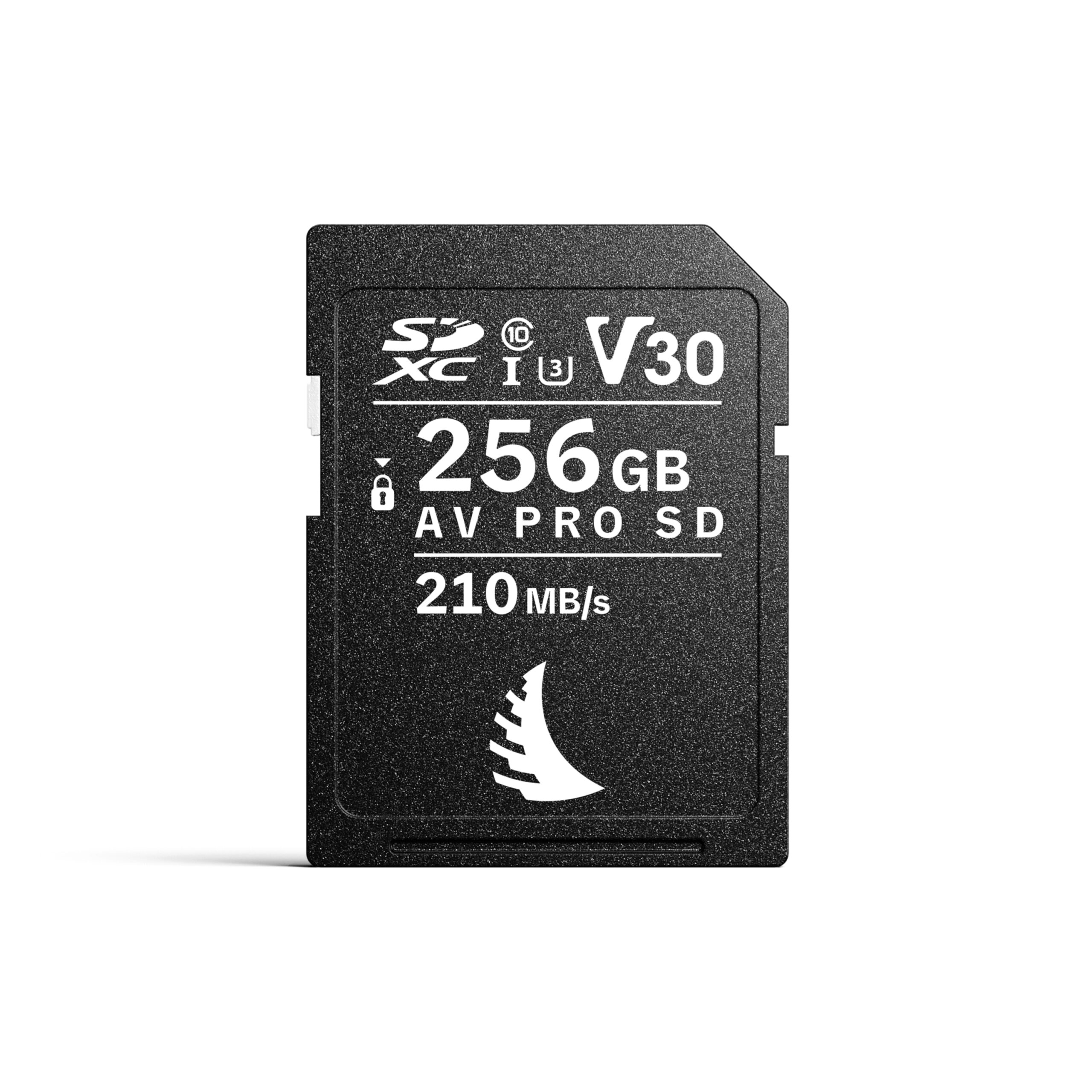 AV PRO SD V30 - 画像 (5)